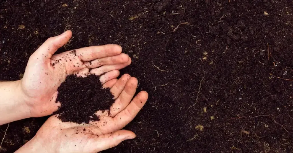 Environmental benefits in composting